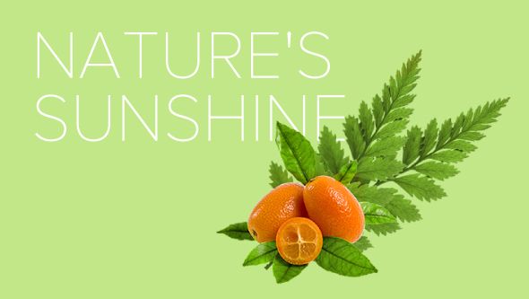 Nature's Sunshine Products - Здоровье и Долголетие